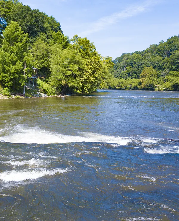A river in the Smoky Mountains
