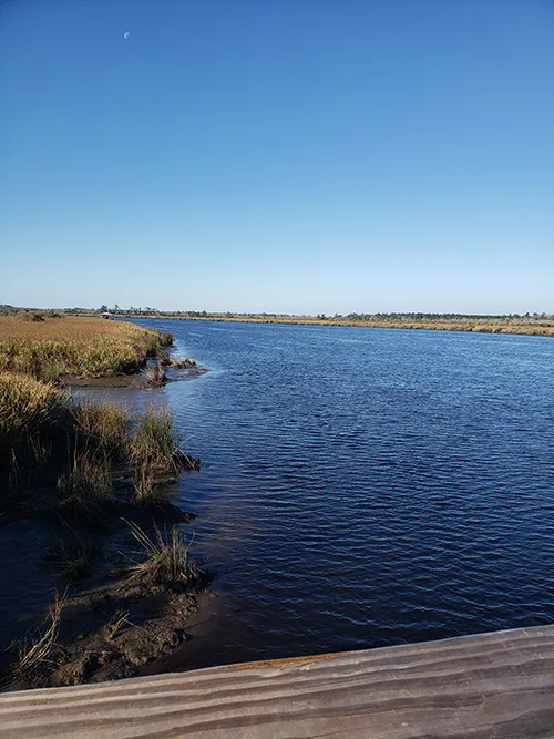 A salt marsh in Georgia